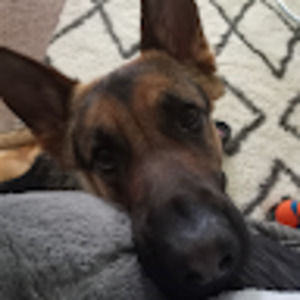 Meet your Posher, Shena